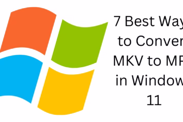 7 Best Ways to Convert MKV to MP4 in Windows 11