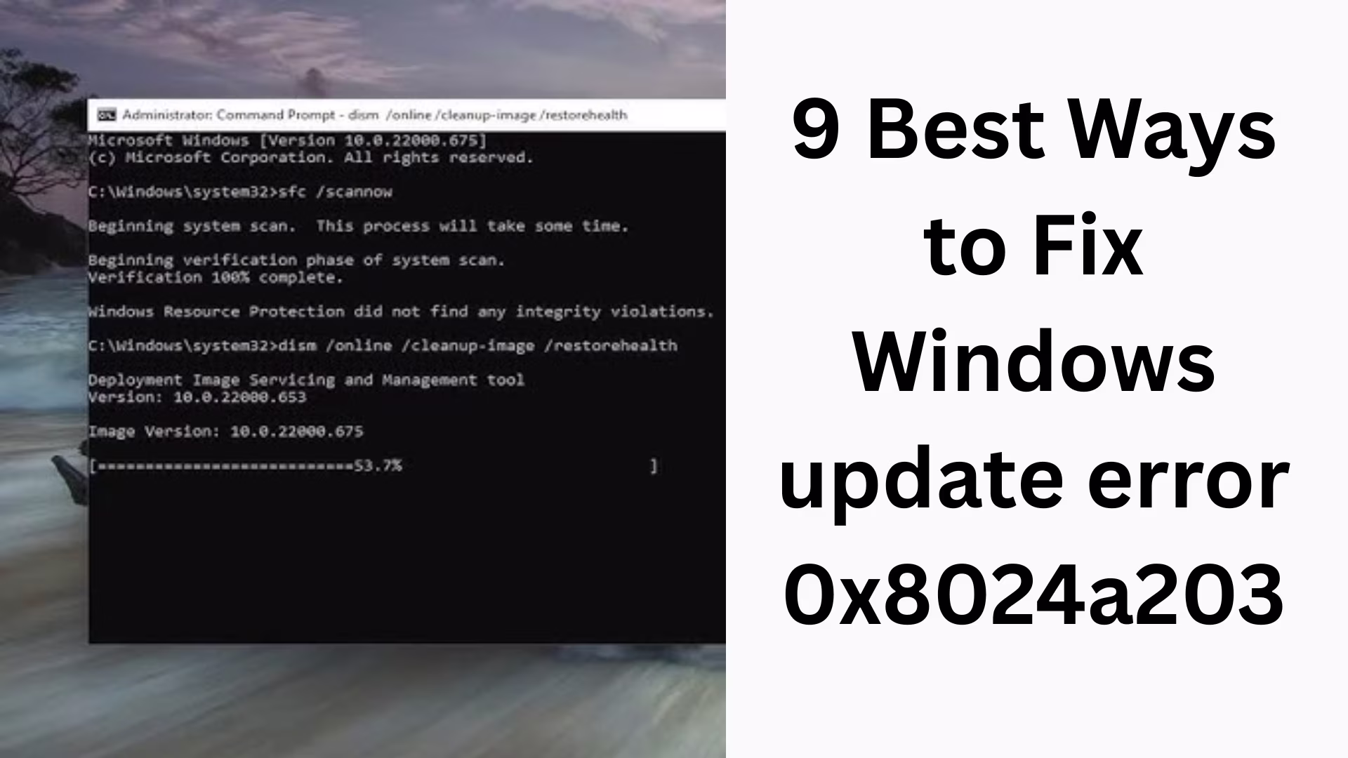 9 Best Ways to Fix Windows update error 0x8024a203