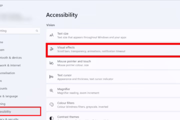 How to Disable Animation Effects on Windows 11?