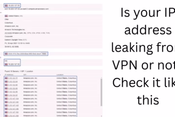 Is your IP address leaking from VPN or not? Check it like this
