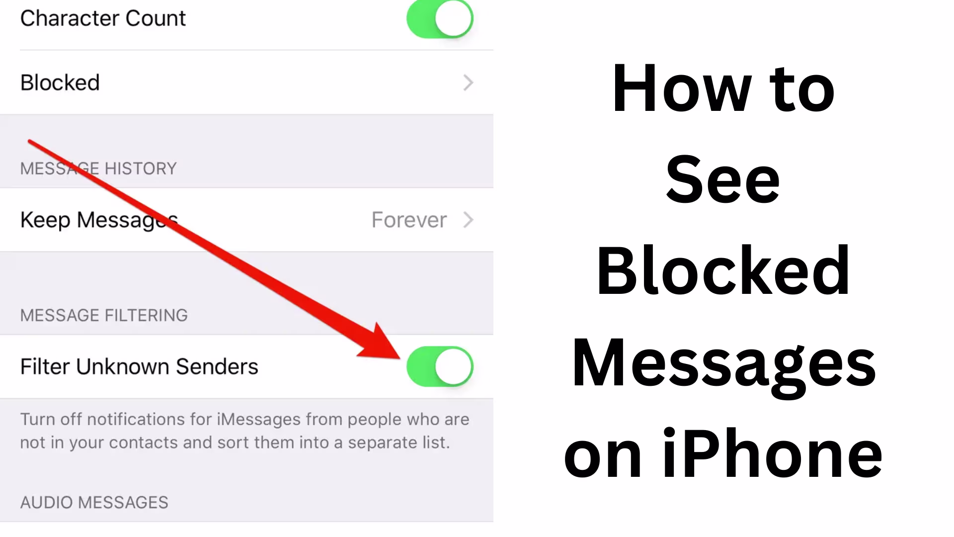 How to View Blocked Messages on iPhone?