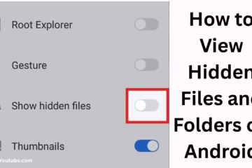 How to View Hidden Files and Folders on Android?