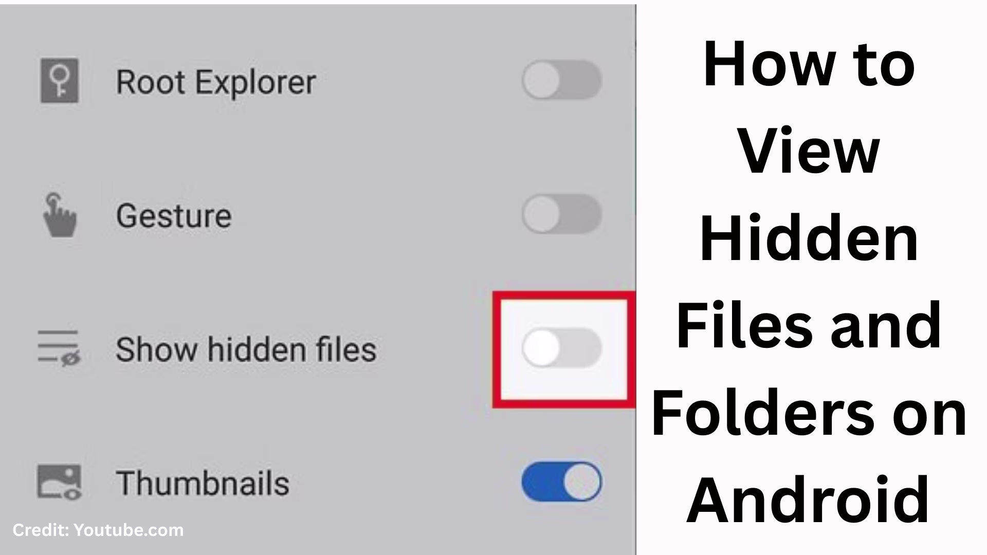 How to View Hidden Files and Folders on Android?