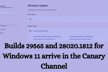 Windows 11 Canary Builds 29565 and 28020.1812: New Features, Secure Boot Alerts, and Major Platform Changes